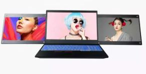 X50A-Dual Portable Monitor